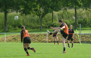 685934ab26318_DSC01863.jpg