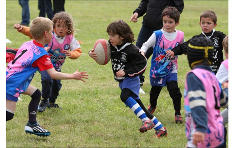 Réunion de la Commission des Écoles de Rugby